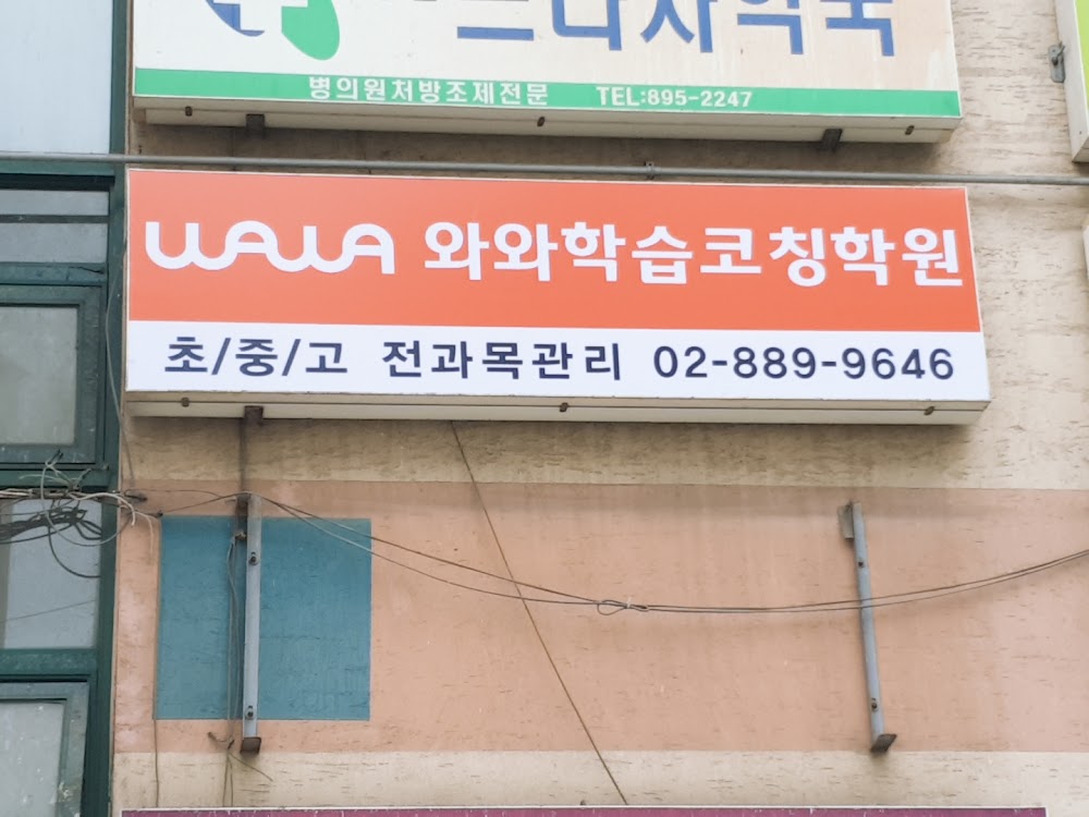 시흥동 와와학습코칭 금천점 여름방학 학습 현장