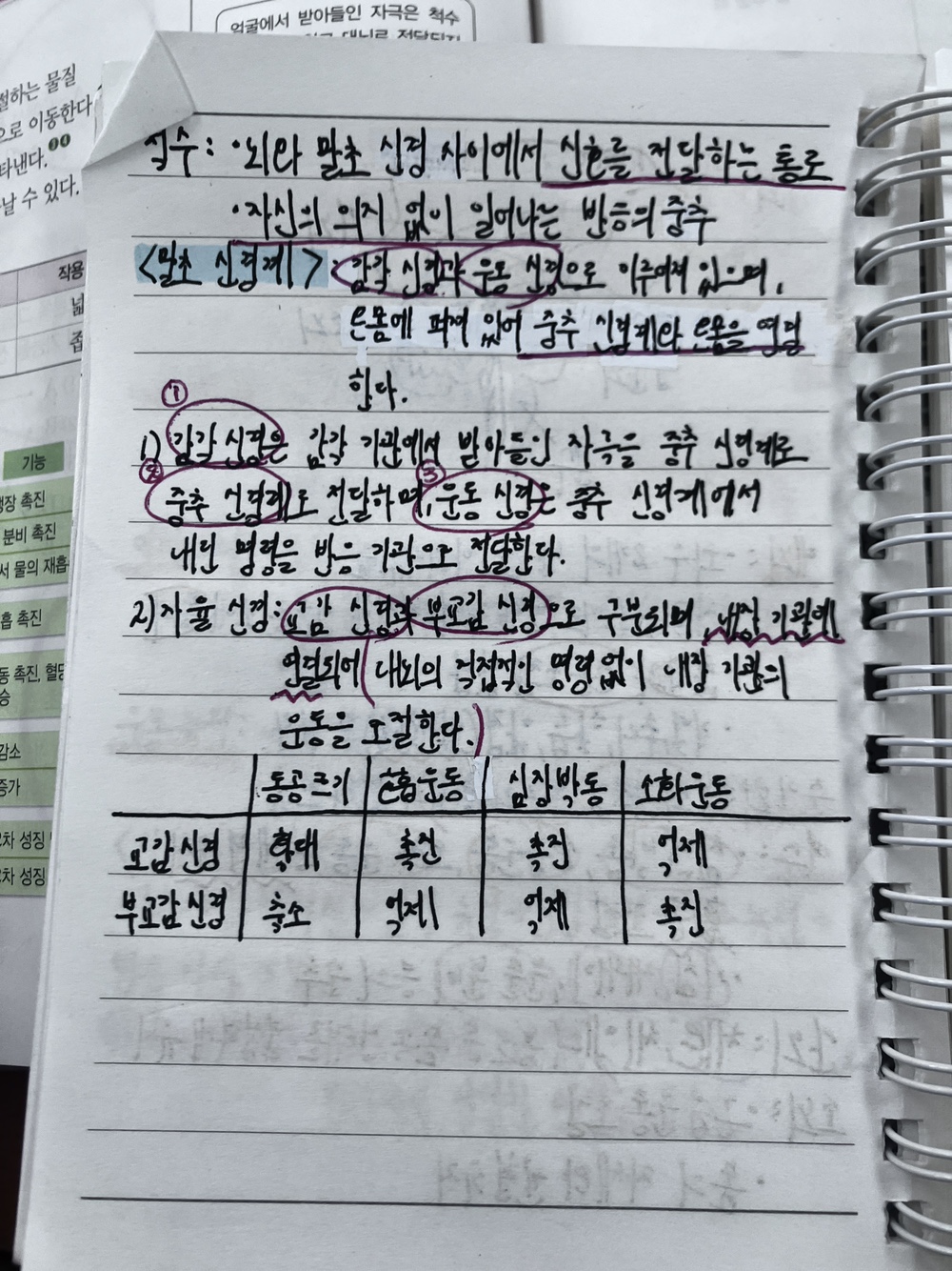 목동 와와학습코칭 목동점 수학·과학 수업 현장